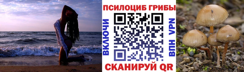 Галлюциногенные грибы Psilocybine cubensis  продажа наркотиков  мега как зайти  Артём 